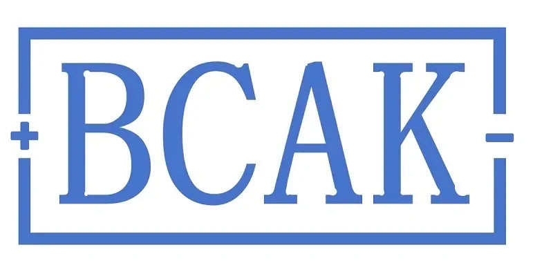 BCAK Power Bank - New Style 10000mAh / 20000mAh Fast Charging